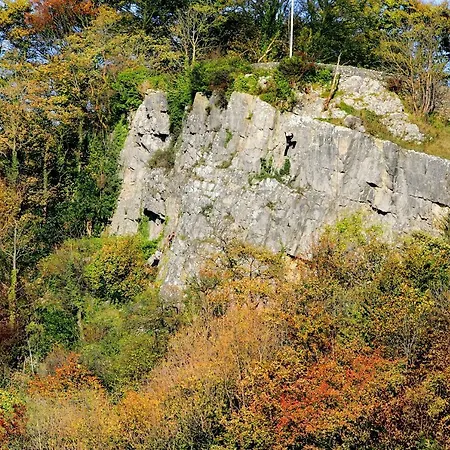 Apartment The Stables Settle
