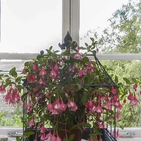 The Stables Appartement Settle